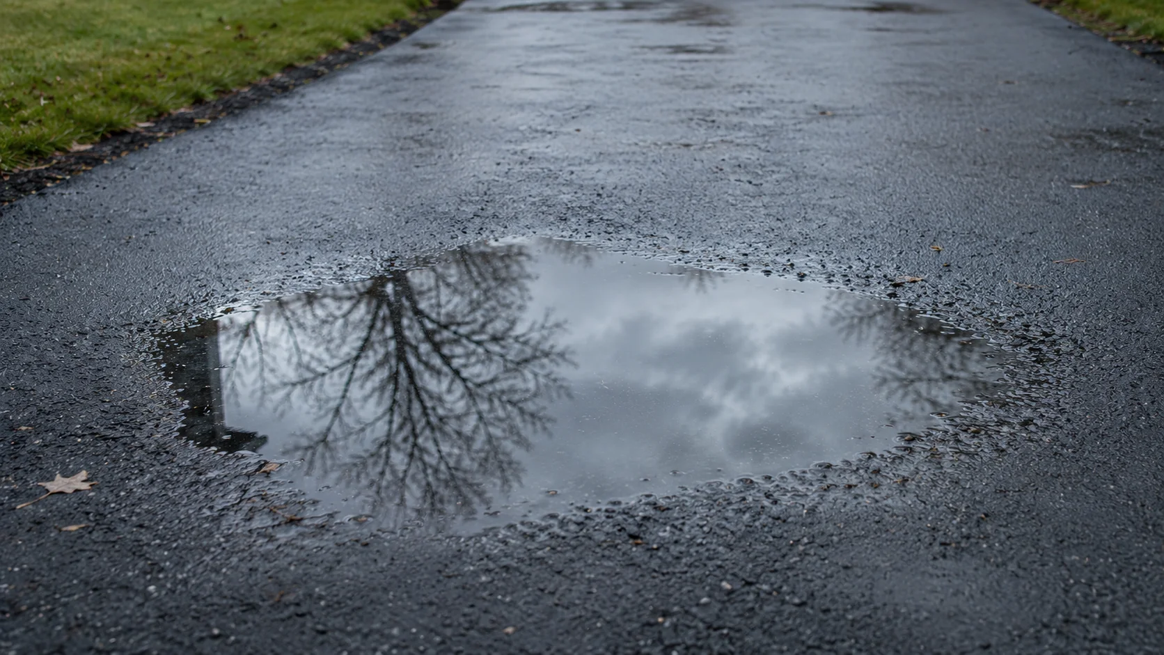 Standing water pooling on an asphalt driveway surface after rainfall, indicating a drainage problem